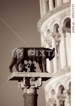 Leaning tower Capitoline wolf in Pisa 36022507