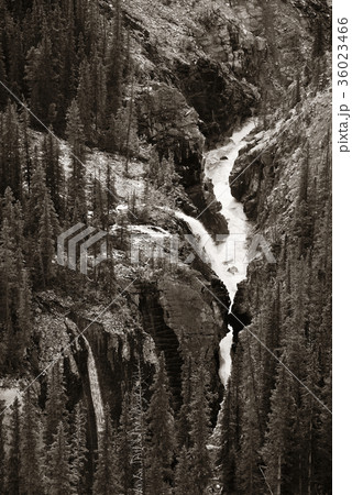 Forest and waterfall Forest and waterfall 36023466