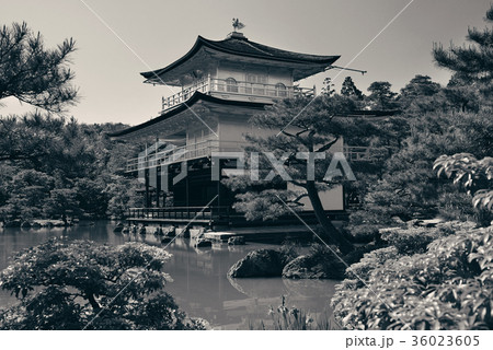 Kyoto 36023605
