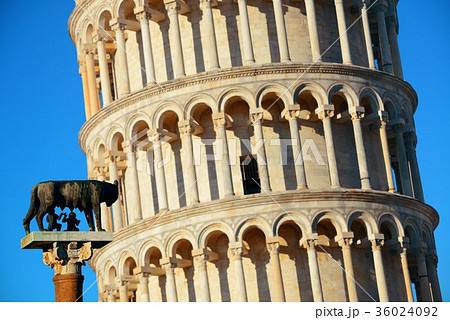 Leaning tower Capitoline wolf in Pisa Leaning tower Capitoline wolf in Pisa 36024092