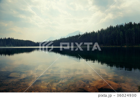 Lake Herbert 36024930