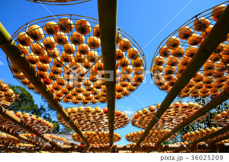 食べ物 食物 フード 36025209