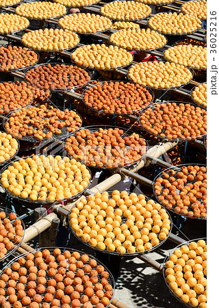 食べ物 食物 フード 36025216