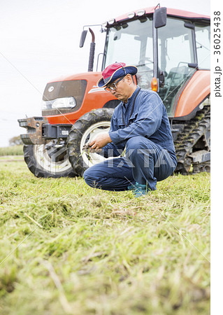 農家の男性 36025438