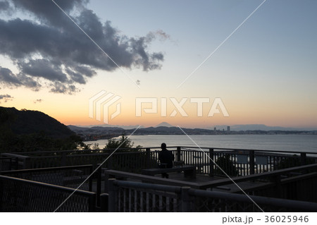 破崎緑地から見る横須賀方面の夕景 36025946