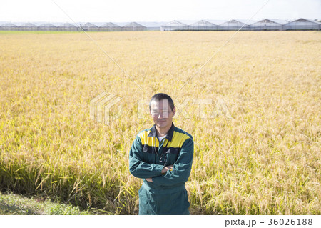 農家の男性 36026188