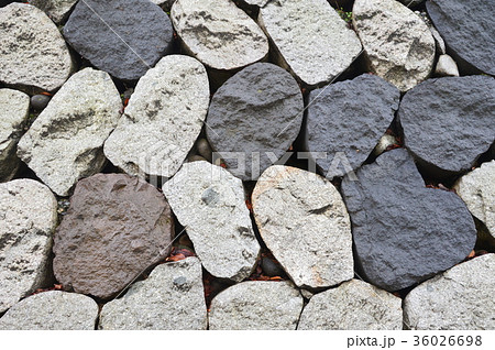 富山城の「石垣」（富山城址公園／富山県富山市丸の内） 36026698