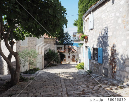 ロヴィニ旧市街 36026839