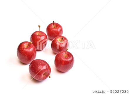 リンゴ（アルプス乙女） 36027086