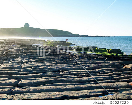 台湾 老梅 老梅綠石槽 36027229