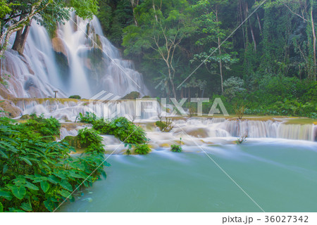 Tat Kuang Si Waterfalls at Luang prabang laos Tat Kuang Si Waterfalls at Luang prabang laos 36027342