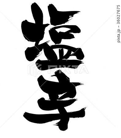 筆文字　塩辛　食べ物　イラスト 36027675