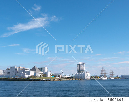 名古屋港-日本丸と海王丸 36028054