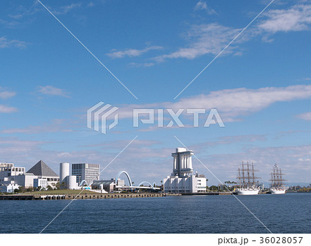 名古屋港-日本丸と海王丸 36028057