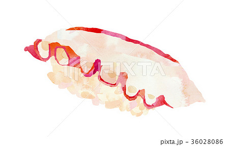 すしシリーズ タコのイラスト素材