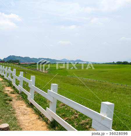 農場 農園 農村地帯 36028096