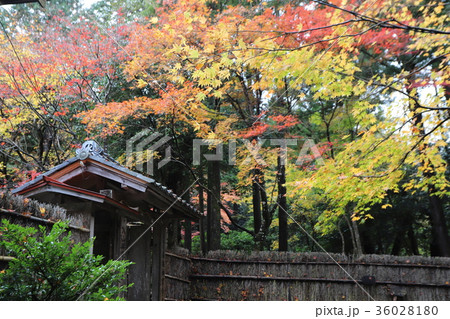 若狭神宮寺の秋景色 若狭神宮寺の秋景色 36028180