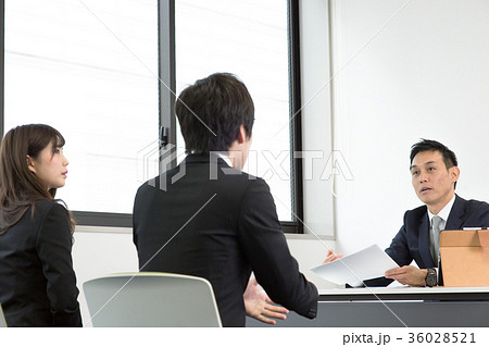 面接　就職 36028521