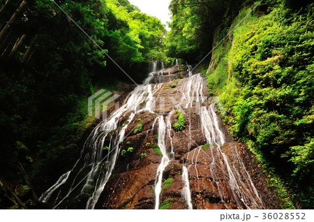 仙人滝 仙人滝 36028552