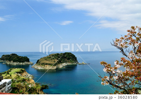 トンガの鼻から番所の庭・大島を望む 36028580