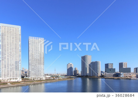 都市風景　晴海にそびえ立つ高層マンション群 36028684