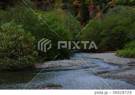 木曽の自然湖 36028729