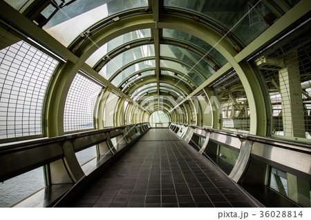 アジア人 アジアン アジア風 36028814