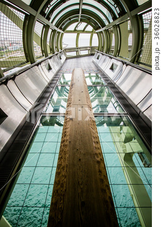 アジア人 アジアン アジア風 36028823