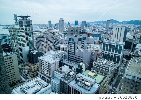 アジア人 アジアン アジア風 36028830