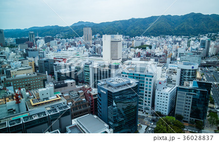 アジア人 アジアン アジア風 36028837