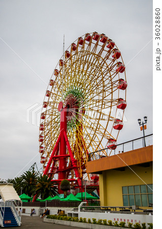 アジア人 アジアン アジア風 36028860