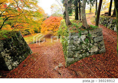 高取城跡の紅葉 高取城跡の紅葉 36028912