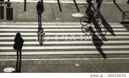 silhouette people walk on pedestrian crosswalk silhouette people walk on pedestrian crosswalk 36029029