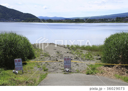 河口湖の水不足に伴う湿地トラブル 36029073