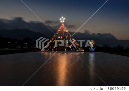 南阿蘇スターライトイルミネーション 南阿蘇スターライトイルミネーション 36029196