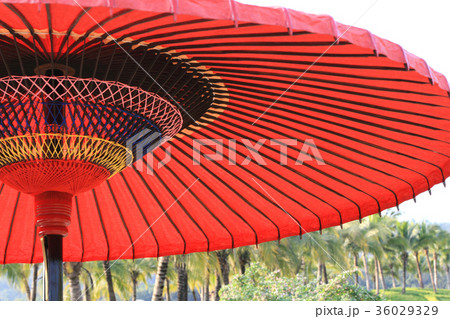 Red Umbrella Red Umbrella 36029329