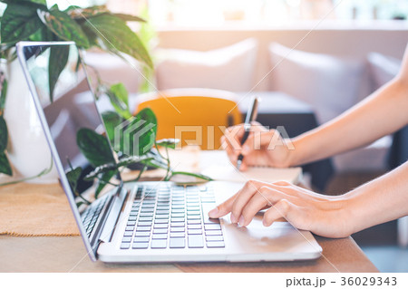 Woman hand works in a laptop computer. 36029343