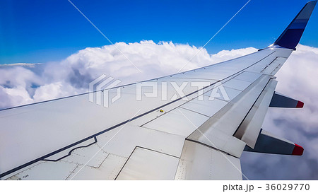 アジア人 アジアン アジア風 36029770