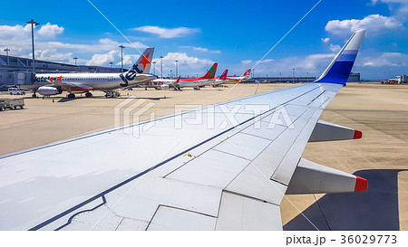 アジア人 アジアン アジア風 36029773