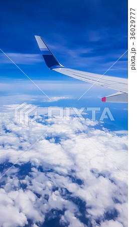 アジア人 アジアン アジア風 36029777