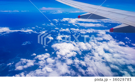 アジア人 アジアン アジア風 36029785