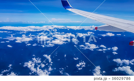 アジア人 アジアン アジア風 36029786