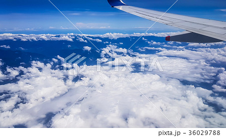 アジア人 アジアン アジア風 36029788