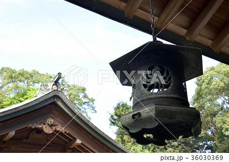 世界遺産　福岡県大島　宗像大社中津宮の釣り灯籠 36030369