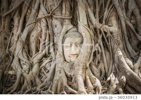 Buddha Head in Ayutthaya, Thailand. 36030913