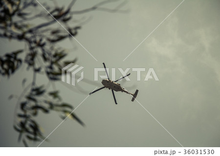 Israeli military UH-60 Blackhawk helicopter flying Israeli military UH-60 Blackhawk helicopter flying 36031530