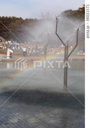 噴水ににじ 噴水ににじ 36031571