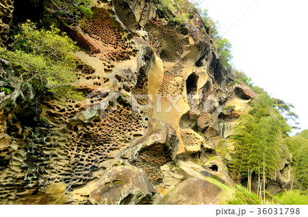 高池の虫喰岩 36031798