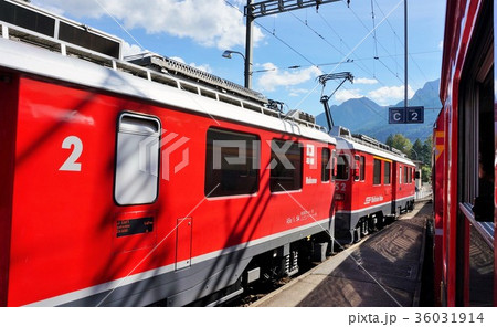 ベルニナ線で出合った列車-箱根登山鉄道ラッピング車両 ベルニナ線で出合った列車-箱根登山鉄道ラッピング車両 36031914