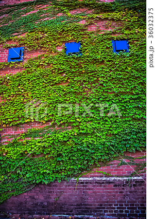 赤煉瓦館 36032375